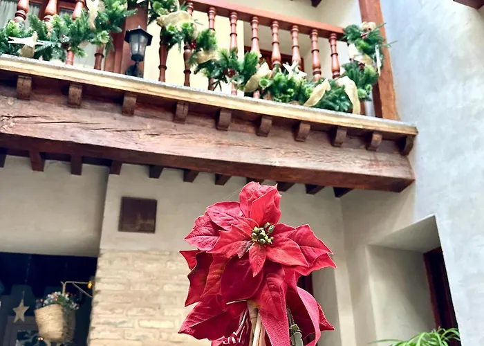 Canonigo - Terraza Con Vistas *